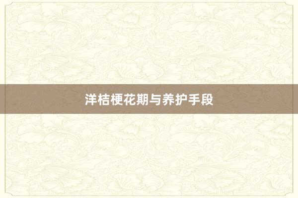 洋桔梗花期与养护手段